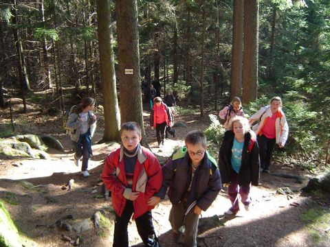 G�ry Sto�owe - Skalne Grzyby