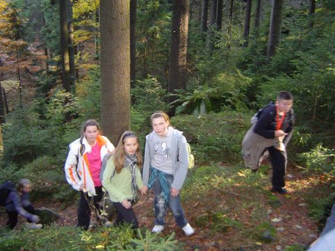 G�ry Sto�owe - Skalne Grzyby