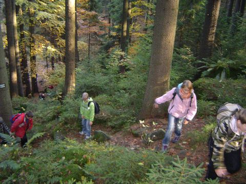 G�ry Sto�owe - Skalne Grzyby