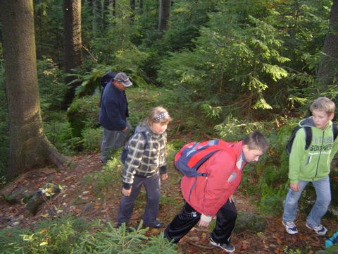 G�ry Sto�owe - Skalne Grzyby