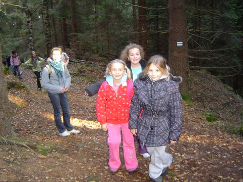 G�ry Sto�owe - Skalne Grzyby