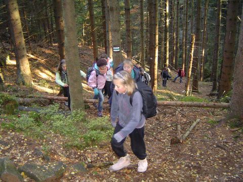 G�ry Sto�owe - Skalne Grzyby