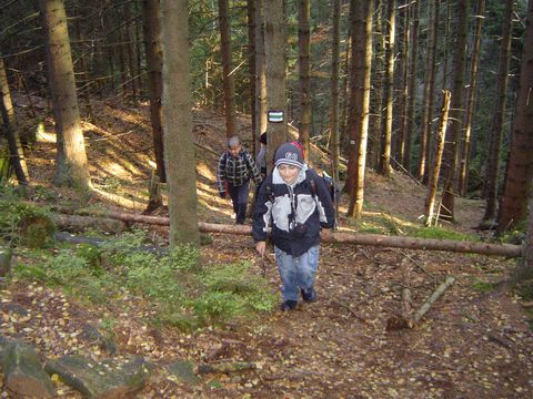 G�ry Sto�owe - Skalne Grzyby