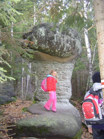 G�ry Sto�owe - Skalne Grzyby