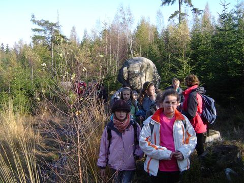 G�ry Sto�owe - Skalne Grzyby