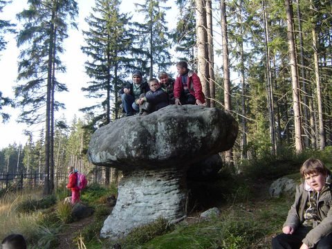 G�ry Sto�owe - Skalne Grzyby