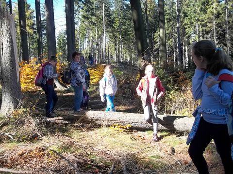 XIV Rajd 'G�ry Sto�owe' s032 - PTTK Strzelin