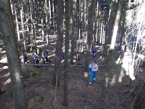 XIV Rajd 'G�ry Sto�owe': Brzytwa - Orlik s055 - PTTK Strzelin