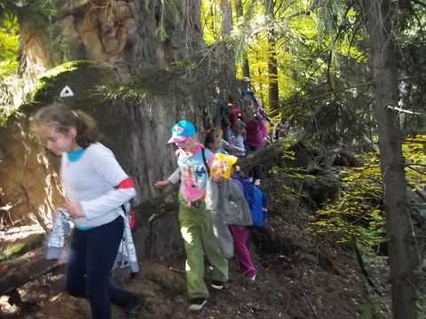 XIV Rajd 'G�ry Sto�owe': Brzytwa - Orlik s066 - PTTK Strzelin