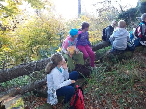 XIV Rajd 'G�ry Sto�owe': Brzytwa - Orlik s078 - PTTK Strzelin