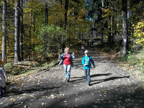 XIV Rajd 'G�ry Sto�owe' - w drodze do Polanicy s094 - PTTK Strzelin