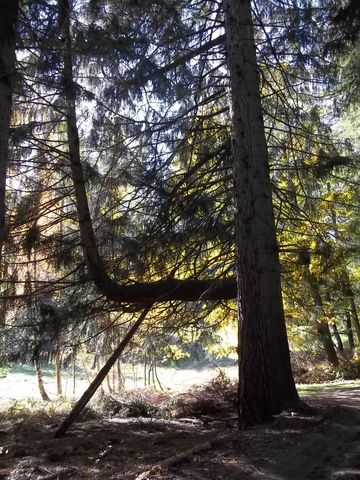 XIV Rajd 'G�ry Sto�owe' - w drodze do Polanicy s102 - PTTK Strzelin