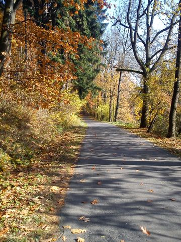 W drodze do Bystrzycy K�odzkiej s157 - PTTK Strzelin