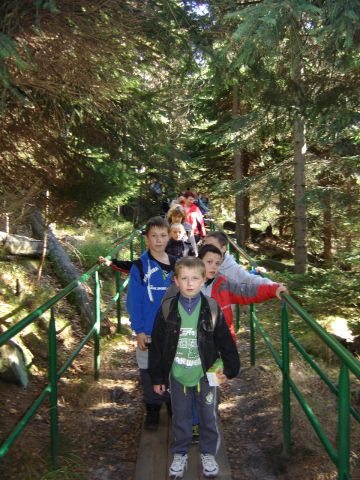 G�ry Sto�owe - zej�cie ze Szczeli�ca s101 - PTTK Strzelin