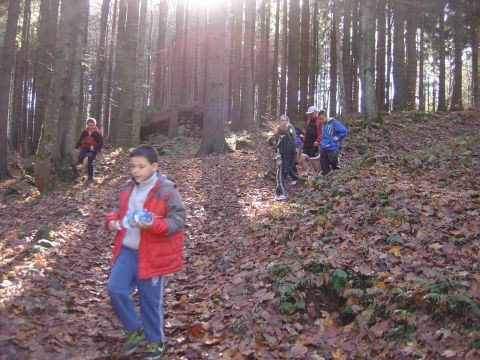 G�ry Sto�owe - w drodze na Skalne Grzyby s107 - PTTK Strzelin