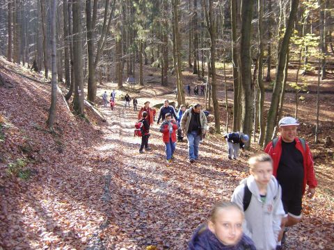 G�ry Sto�owe - w drodze na Skalne Grzyby s108 - PTTK Strzelin