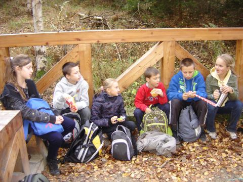 G�ry Sto�owe - w drodze na Skalne Grzyby s117 - PTTK Strzelin