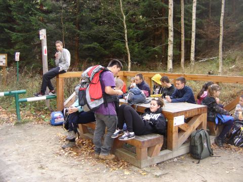 G�ry Sto�owe - w drodze na Skalne Grzyby s119 - PTTK Strzelin