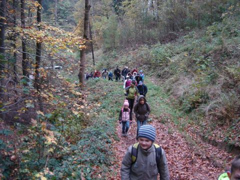 XVI Rajd 'G�ry Sto�owe' - w drodze do Pstr��nej s009 - PTTK Strzelin