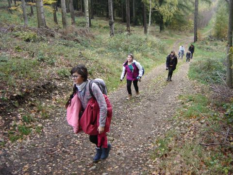 XVI Rajd 'G�ry Sto�owe' - w drodze do Pstr��nej s018 - PTTK Strzelin