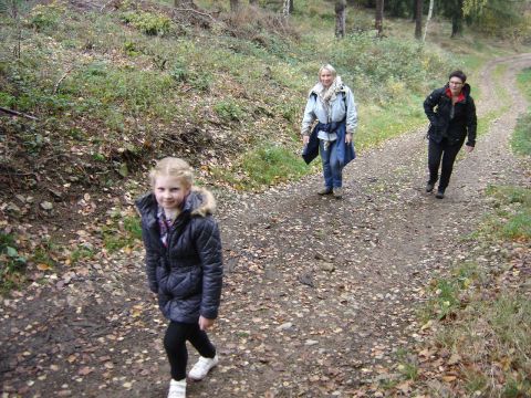 XVI Rajd 'G�ry Sto�owe' - w drodze do Pstr��nej s019 - PTTK Strzelin