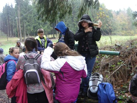 XVI Rajd 'G�ry Sto�owe' - w drodze do Pstr��nej s024 - PTTK Strzelin