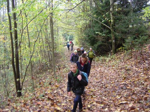 XVI Rajd 'G�ry Sto�owe' - w drodze do Bukowiny s085 - PTTK Strzelin