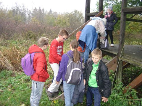 XVI Rajd 'G�ry Sto�owe' - w drodze do Bukowiny s090 - PTTK Strzelin