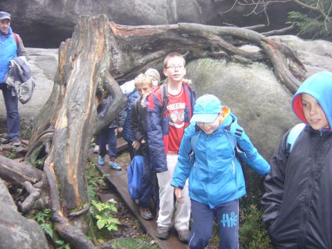 XVI Rajd 'G�ry Sto�owe' - B��dne Ska�y s128 - PTTK Strzelin