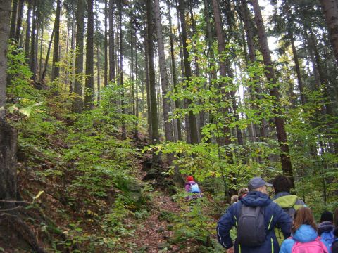 XVI Rajd 'G�ry Sto�owe' - podej�cie na Zamek Le�na s027 - PTTK Strzelin