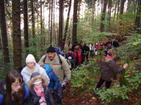 XVI Rajd 'G�ry Sto�owe' - podej�cie na Zamek Le�na s028 - PTTK Strzelin