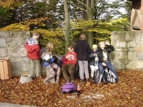 XVI Rajd 'G�ry Sto�owe' - Zamek Le�na s044 - PTTK Strzelin