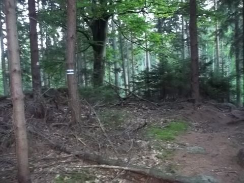 G�ry Sto�owe - pocz�tek szlaku doj�ciowego na szlaku niebieskim s043 - PTTK Strzelin