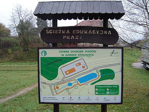 Kudowa-Zdr�j - �cie�ka edukacyjna ko�o Muzem �aby s001 - PTTK Strzelin