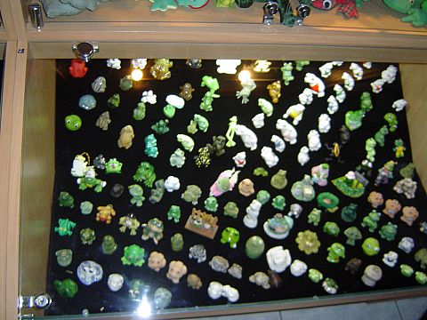 Muzeum �aby - Kudowa-Zdr�j s011 - PTTK Strzelin