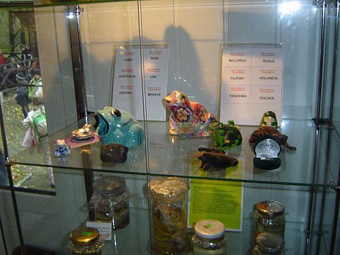 Muzeum �aby - Kudowa-Zdr�j s025 - PTTK Strzelin