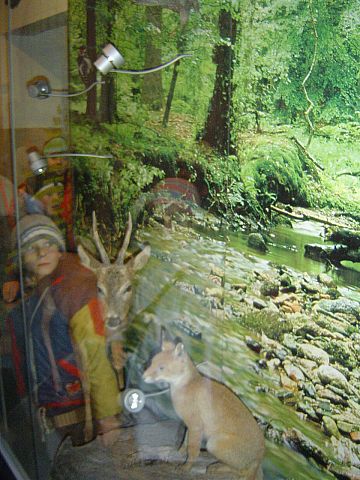 Kudowa-Zdr�j - w budynku Dyrekcji PNGS s030 - PTTK Strzelin