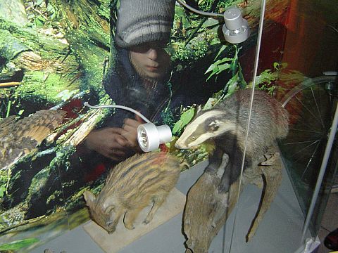 Kudowa-Zdr�j - w budynku Dyrekcji PNGS s034 - PTTK Strzelin