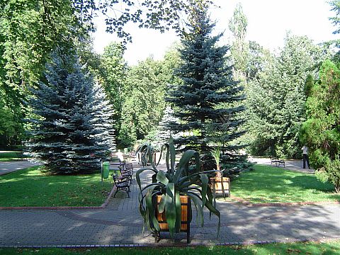 Polanica Zdr�j - park zdrojowy