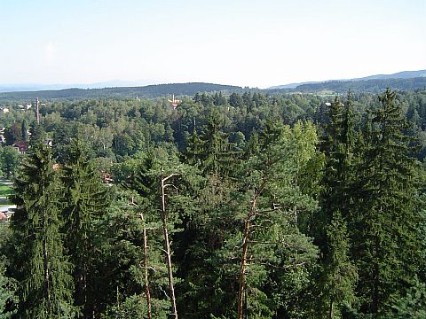 Widok z punktu widokowego