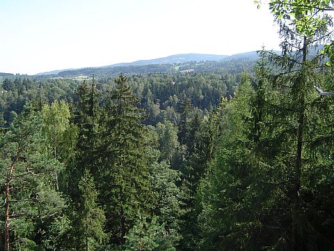 Widok z punktu widokowego