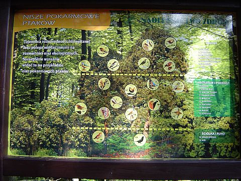 Punkt widokowy nad Polanic�