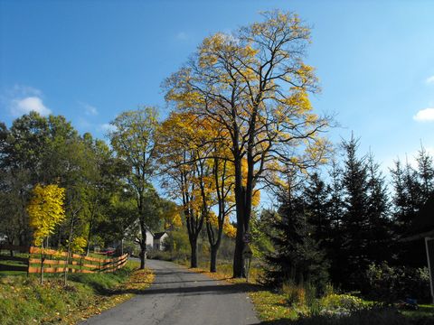 Pstr��na - Kudowa Zdr�j s164 - PTTK Strzelin