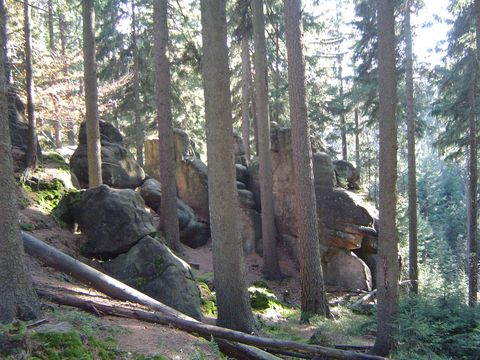 G�ry Sto�owe - Skalne Grzyby