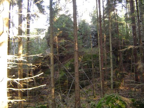 G�ry Sto�owe - Skalne Grzyby