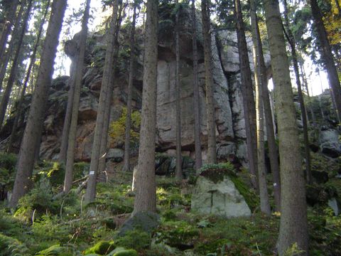 G�ry Sto�owe - Skalne Grzyby