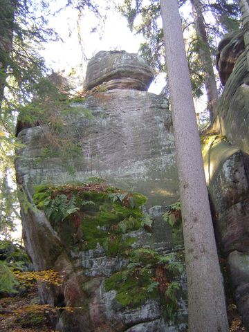 G�ry Sto�owe - Skalne Grzyby