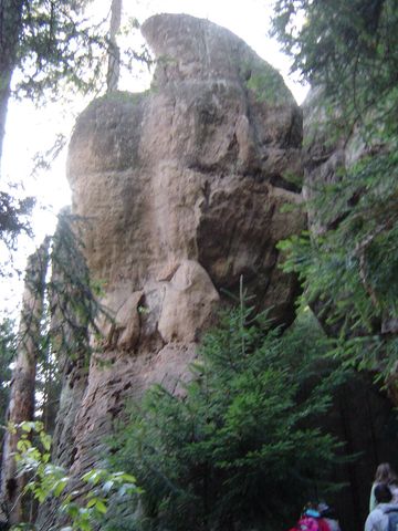 G�ry Sto�owe - Skalne Grzyby