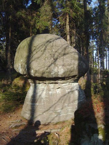 G�ry Sto�owe - Skalne Grzyby