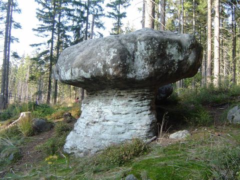 G�ry Sto�owe - Skalne Grzyby